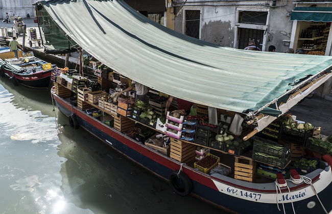 Altana Studio - Foto 24