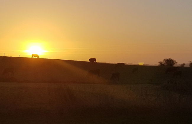 "Siebelt" - 200m from the sea - Photo 6