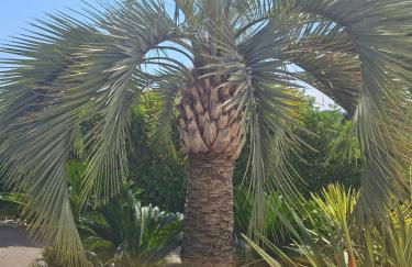 La Villa 155 superbe appartement centre ville avec piscine - Foto 10