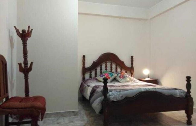 bajo la viña - Foto 1