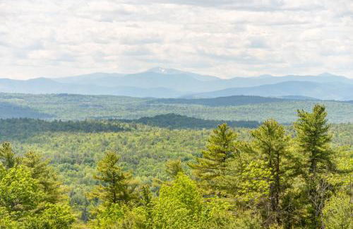 Willis Croft - Foto 46