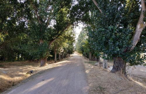 La Fresneda de Polendos - Foto 19