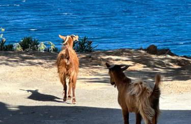 House With View - Foto 15