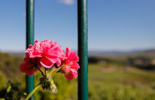 Quinta Soutelinho - Foto 49
