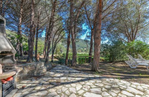 Il Papavero - Foto 11