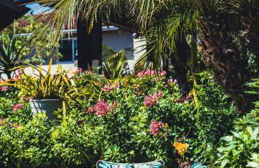 Resort style back yard heated pool and spa - Foto 56