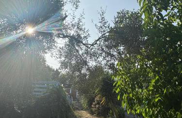 Flotillen Segeln in Griechenland inklusive Skipper und Tourguide 7 Nächte mit 7 Inseln im Ionischen Meer An- und Abreise SAMSTAG Kojencharter und Mitsegeln - Foto 31