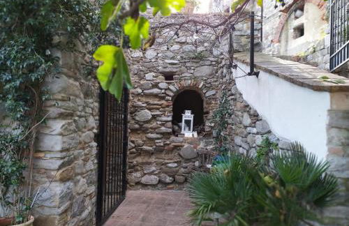 The Bergamot - Foto 2