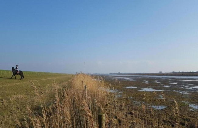 Bungalow by Water Near Rotterdam and Zeeland - Foto 30