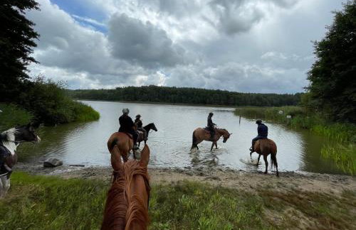 JZ Guest Ranch - Foto 11