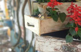 Agroturystyka POD KASZTANEM - Foto 16