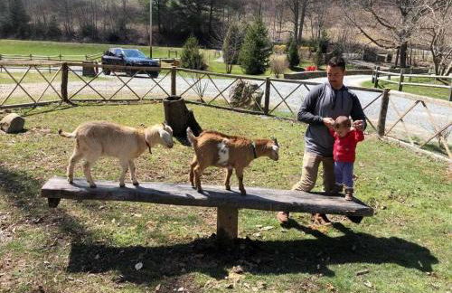 Barn Vibes + Petting Zoo + Hot Tub! - Foto 17