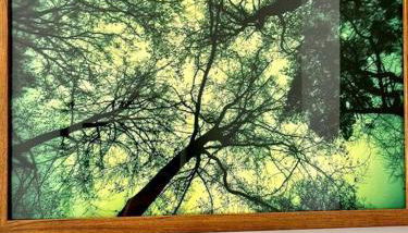 Luxury at Barbizon - Foto 4