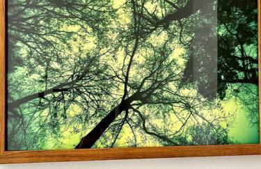 Le Loft de Barbizon - Foto 4