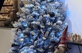 La Casa del Horreo - Foto 5