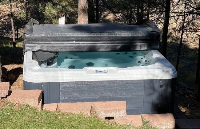 Amberwood Estate w 5 Showers Spa Mtn Views - Photo 38