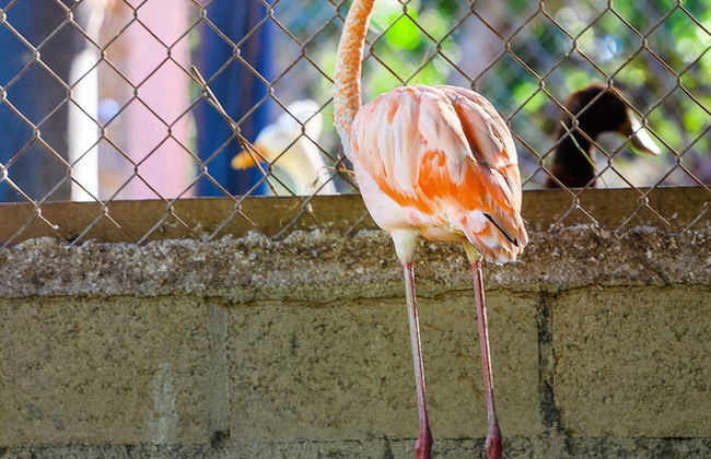 Hacienda La Huerta - Photo 24