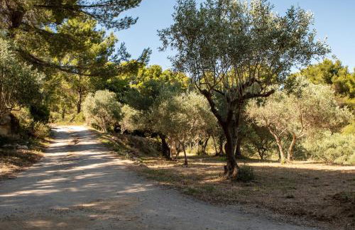 Gîte du domaine de l'Arbre de Vie - Foto 13