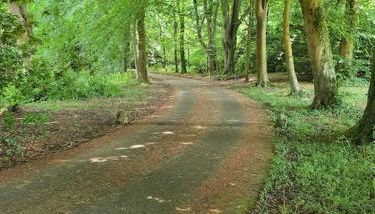 The Loft at Goytre Hall - Foto 5