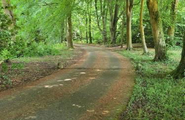 The Loft at Goytre Hall - Foto 5