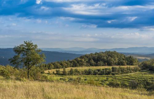 Villa Franka 113 - Foto 53