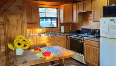 Dream of a Log Cabin - Foto 4