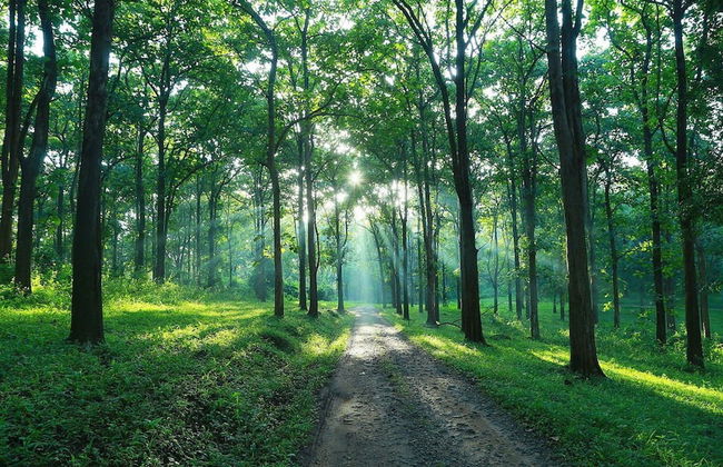 Room in Lodge - Royal Cottage, Anaimalai Room - Foto 13