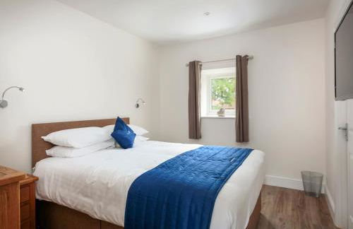 Greylag Goose - Ukc2110 - Photo 8