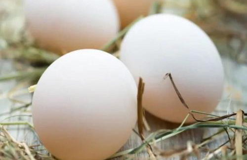 Pets- Garden- Bbq- Parking- Fireplace- Sleeps 6 - Foto 7