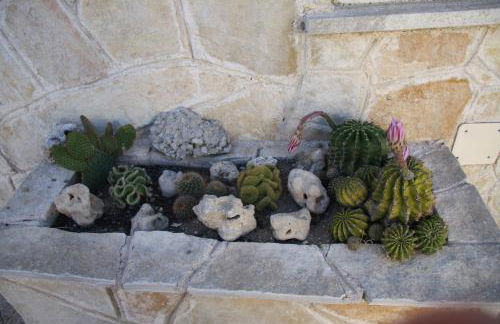 La Casa di Dario - Foto 29