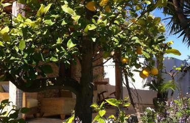 Can Pardal - Foto 56