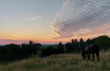 Camp Warmia - Foto 43