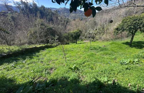 Nascente home place in nature next to a waterfall - Foto 25