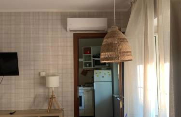 Musa Paradisiaca 6, un angolo tropicale a Torino - Foto 11