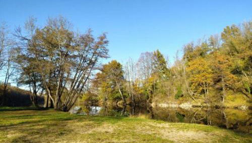 Charmant petit T2 au bord de l'Allier - Foto 5