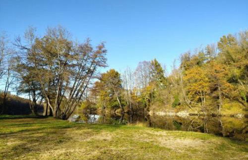 Charmant petit T2 au bord de l'Allier - Foto 5