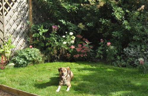 Castle Cottage, Wadhurst - Foto 11