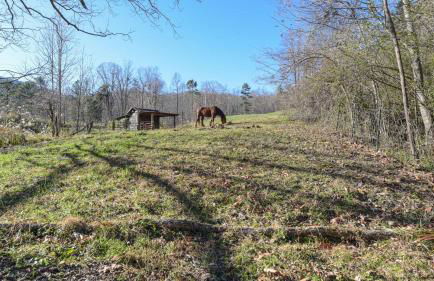 Charming Blue Ridge Cabin Private Pond and Waterfall Deer Haven by AvantStay - Foto 58