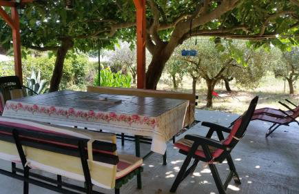 Apartments Vera Barbariga - Photo 13