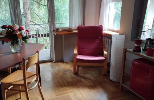 Pokój w domu z ogrodem w Milanówku - Foto 12