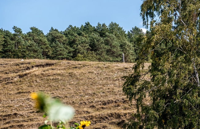 "Eva" - 1.5km to the fjord - Photo 20