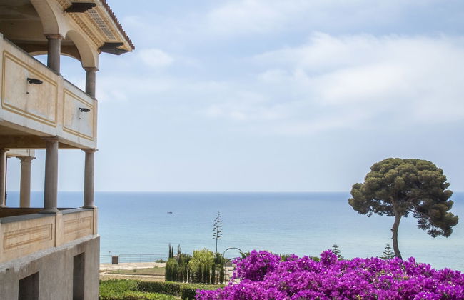 Santa Romana - Photo 34