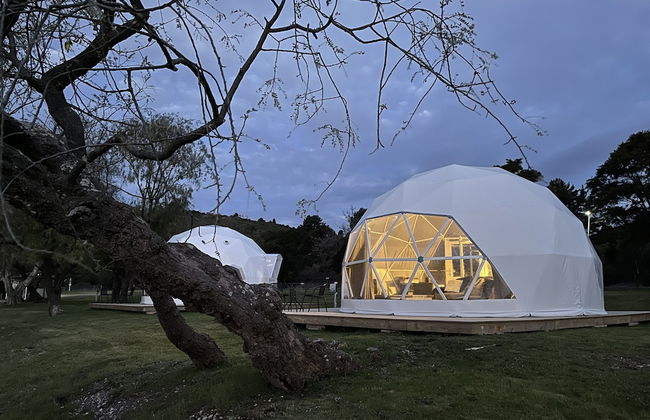 Motutere Bay Top 10 Holiday Park - Photo 13