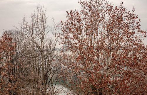 Panoramic apartment overlooking the Po River - Foto 12