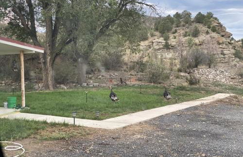Valentine's Northern New Mexico Mountain Ranch on Colorado Border retreat - Foto 27