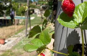 Quinta de VillaSete - Foto 31