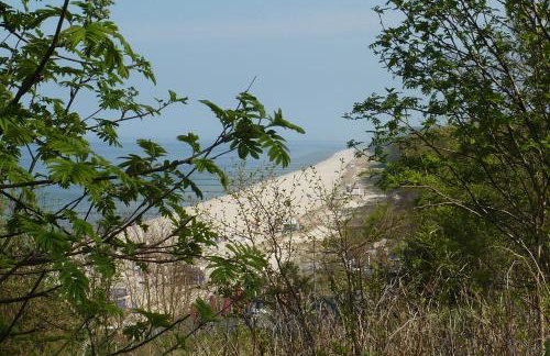 moderne 3-Raum Ferienwohnung Strandmöwe mit Panoramafenster - Foto 22