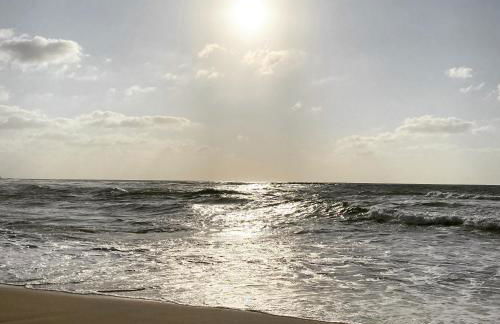 I lentischi - Foto 1