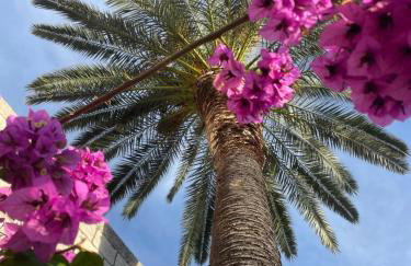 Modern Urban Oasis - Korčula - Photo 19