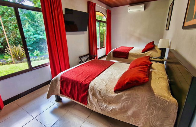 Macadamia - Monteverde - Foto 6